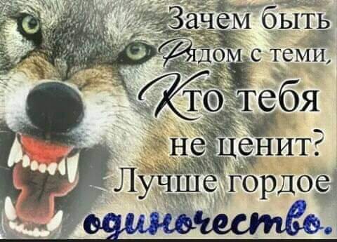 FB IMG 1550326641465