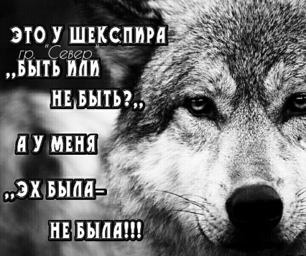 IMG 20220311 111251