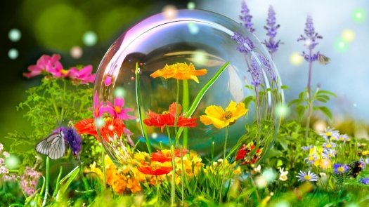 a60b2e1d2f65c3d05cbd8b2a2 crop l 7 t 40 w 1902 h 1070