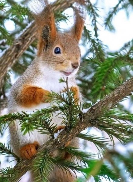 IMG 20210106 015721