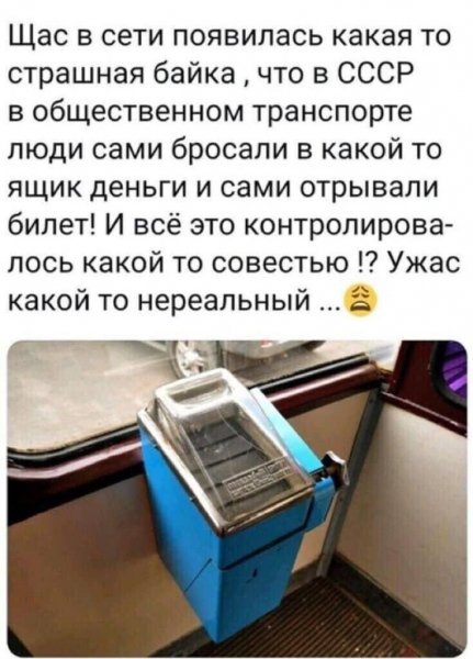 IMG 20240204 222632