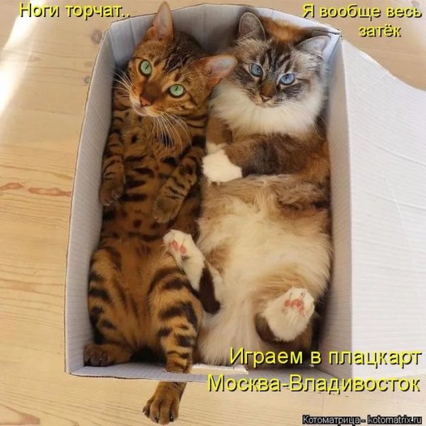 Играем в плацкарт