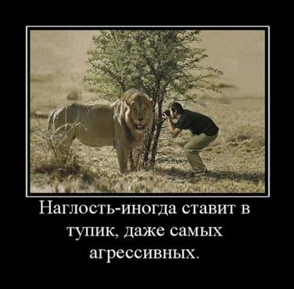 Наглость