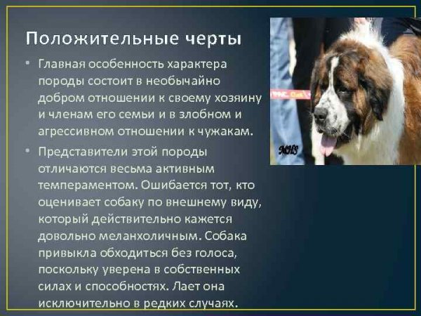 Московская сторожевая