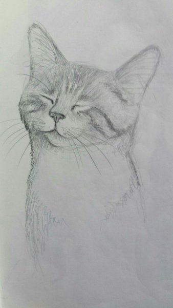 0c71247f63ff20833347da1484d3caa4