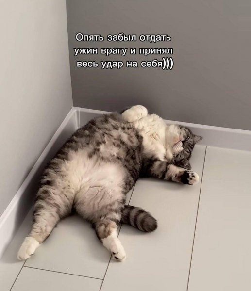 IMG 20241017 104942 369