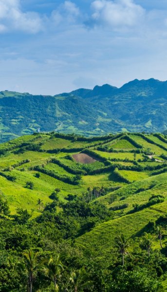 Screenshot 20260326-141931 One UI Home