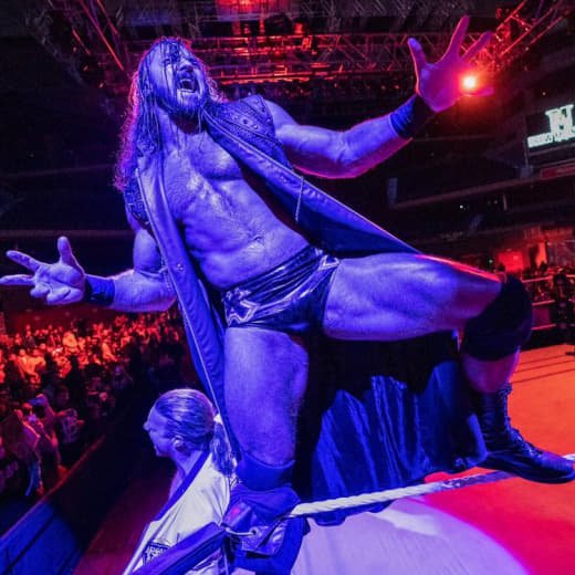 Wwe (453)