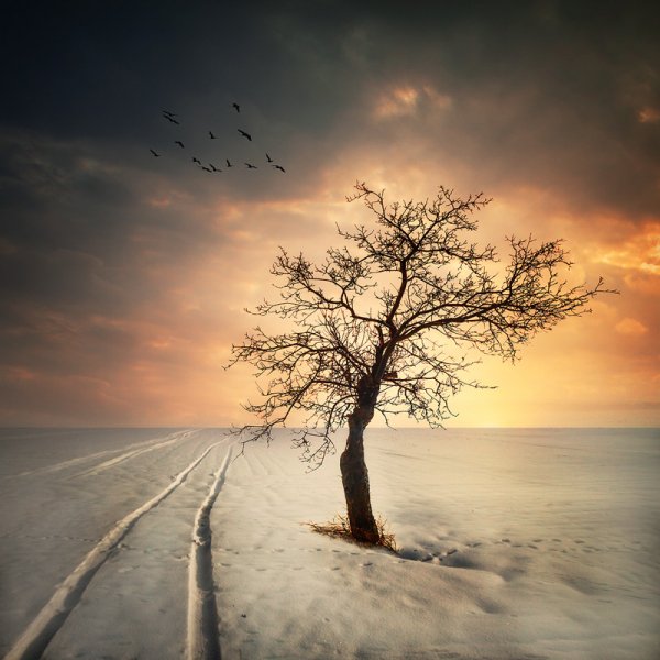 Природа
