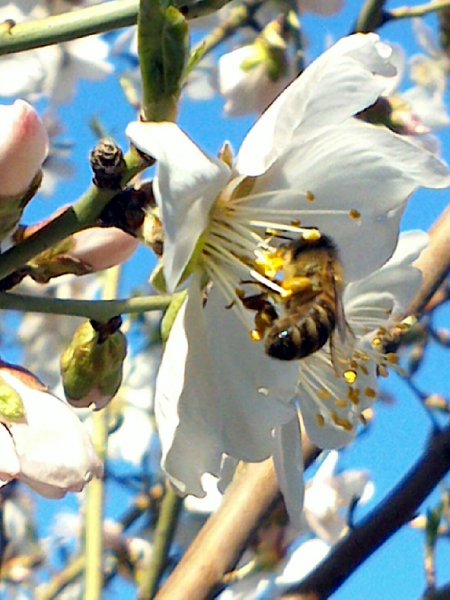 picture_95079013