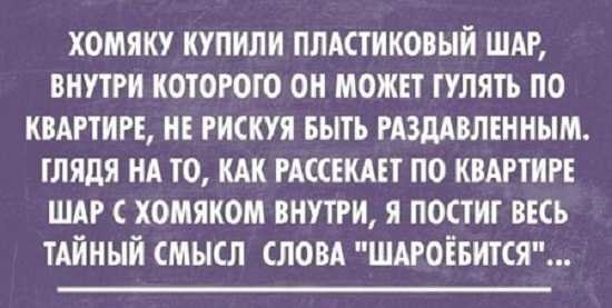 Prikolnyj-anekdot