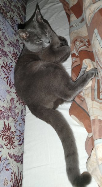 IMG 20250304 054903 edit 5468006656662