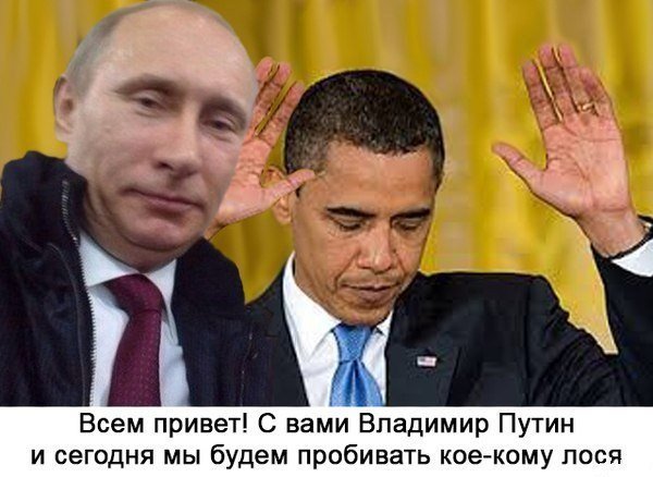 музыкального лося