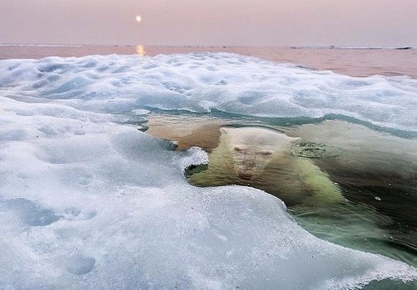 image Удивительный снимок