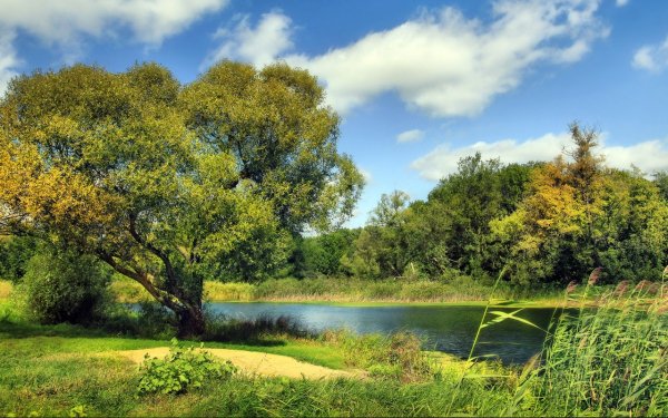 Oblaka-voda-reka-trava-zelen