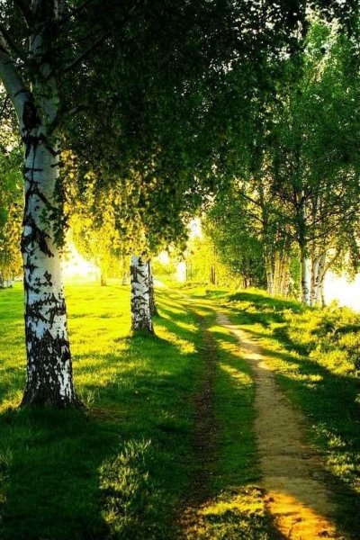 FB IMG 1620763896283