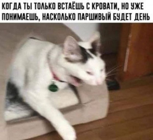 Nastojaschemu-vkusnogo-i-s-perchinkoj-togda-vy-po-adresu-3