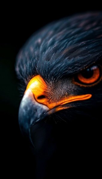 Животный Мир