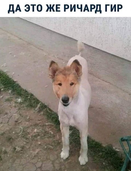 FB IMG 1615604909526