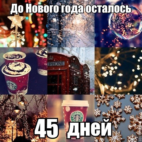 C3THLR5UbSQ