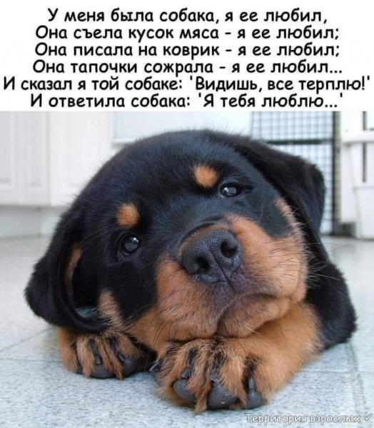 Я тебя люблю...