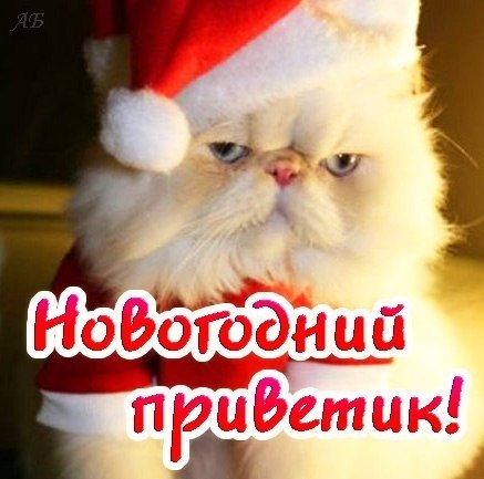 xGIsZYHOjF8