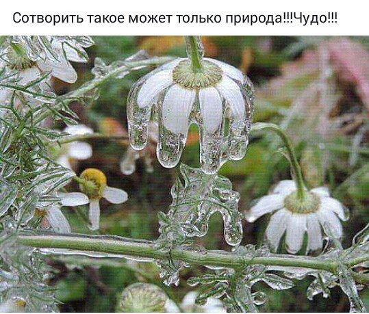 IMG 20151110 132343 168