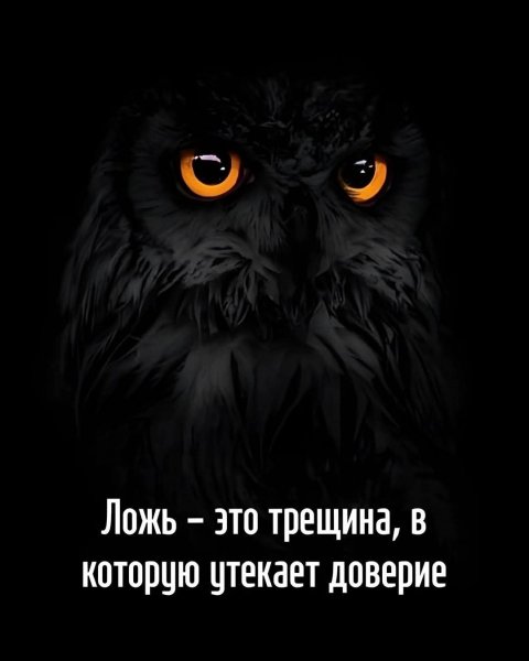 picture_408939722