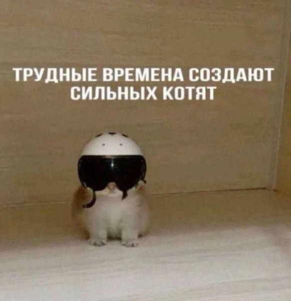 picture_407736087