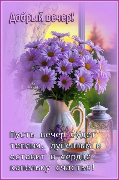 Добрый вечер!