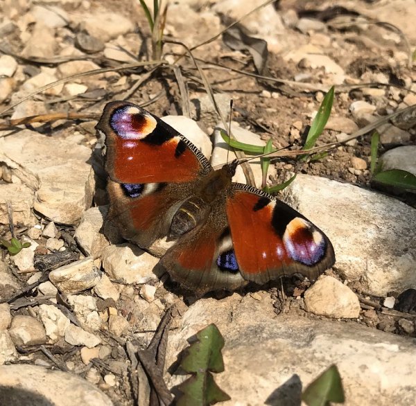 E2643442-61DB-4B60-8201-6BF7312F8862