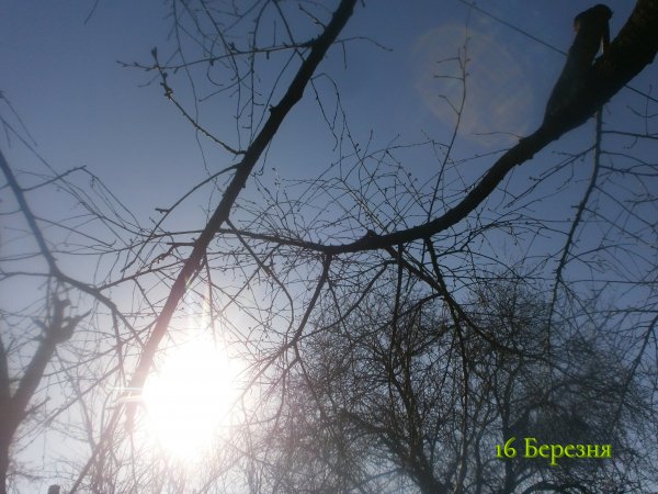 16 Березня