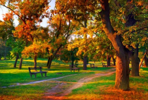 Поворот на Осень-Most Amazing Images Of Nature