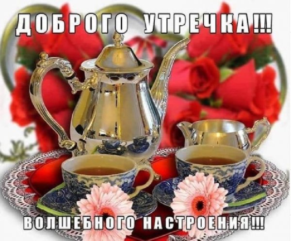 OdJnJFIXbK8