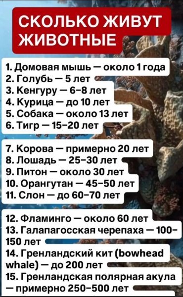 Жизнь животных