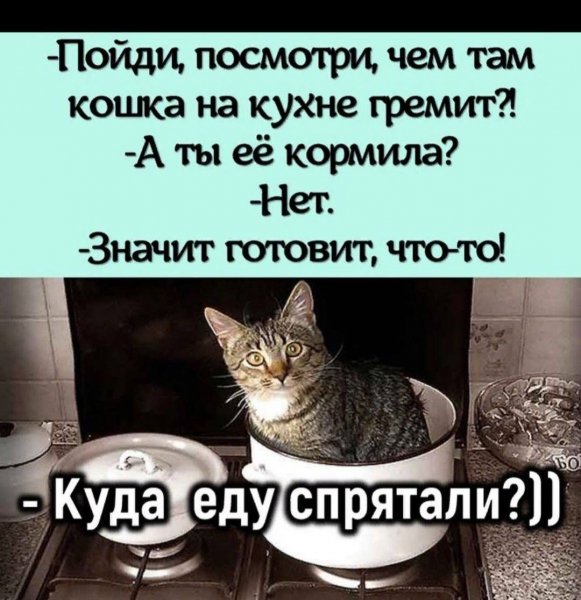 picture_413537463