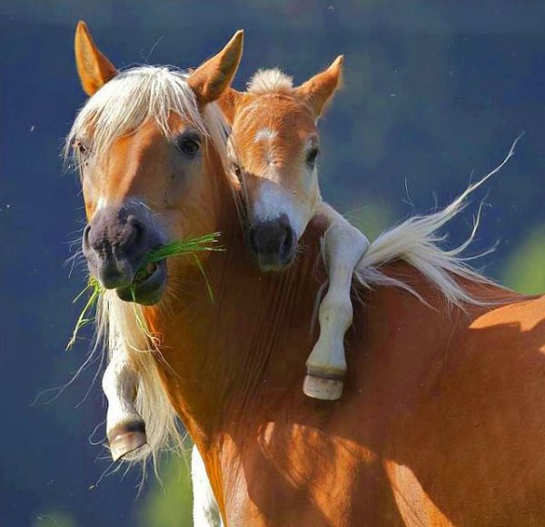 IMG 20161213 184728 6