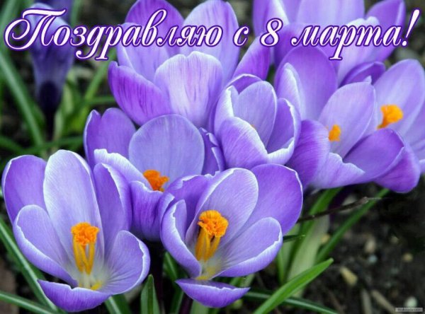 поздравляю с 8 марта