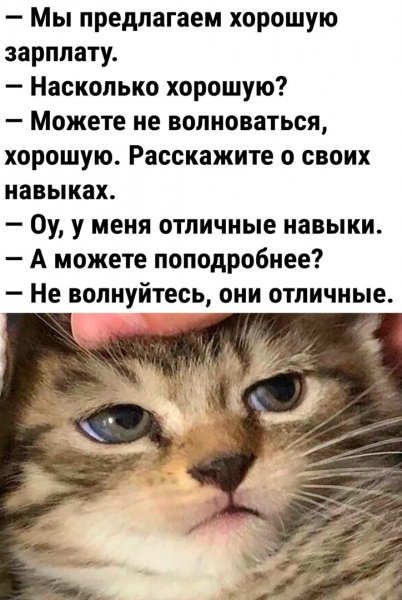 picture_373360027