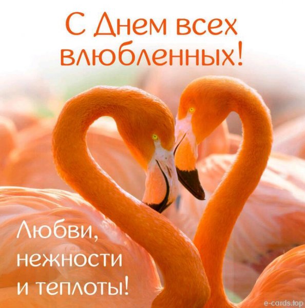 IMG-96df8a21333197c211dfdae45d2f9b40-V