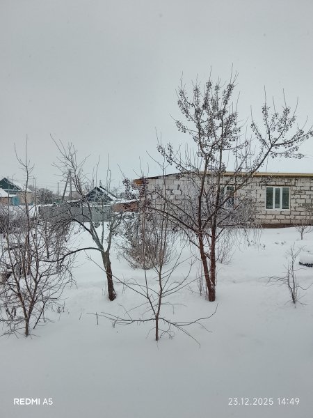 У нас уже зима