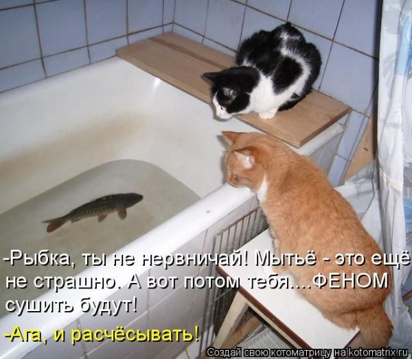 И расчёсывать!
