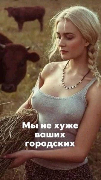 FB IMG 16182127185328376