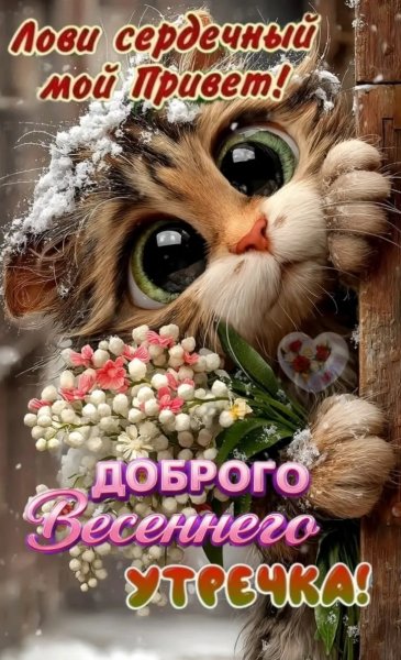 IMG 20260408 073019 725