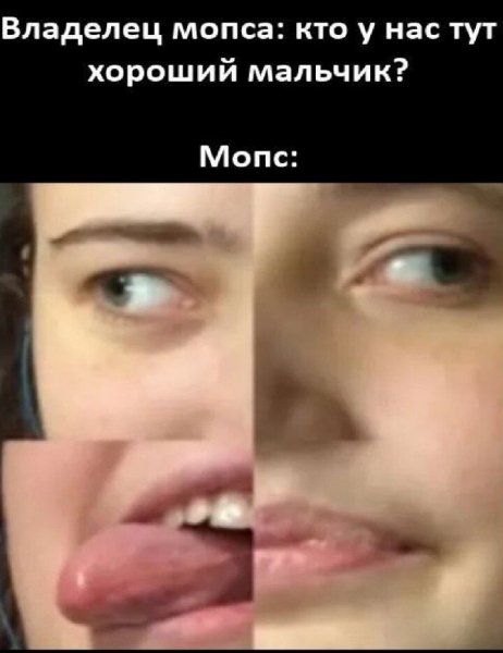 p.1200.1200.0