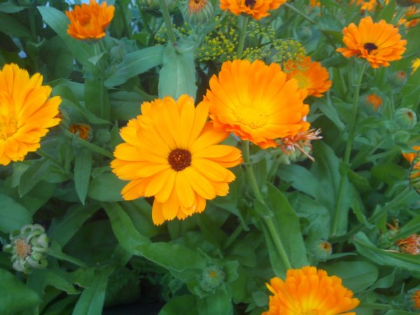 IMG 20140705 143813