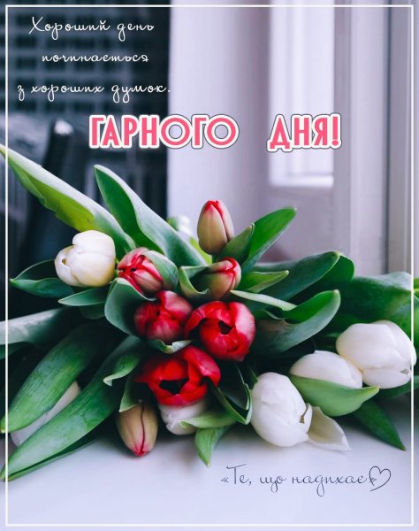 picture_411369645