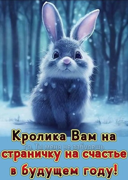 IMG 2022 крол