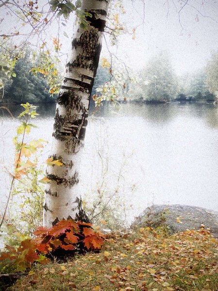 picture_350926550