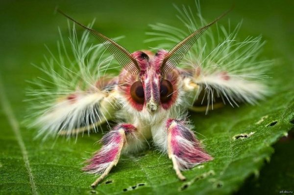 a321538b11980e830f40c1c2